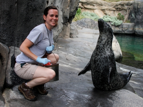 American Trail intern with seal, National Zoological Park American Trail intern with seal, National Zoo