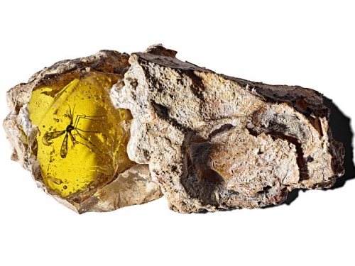 Synthetic amber with trapped insect from Jurassic Park.